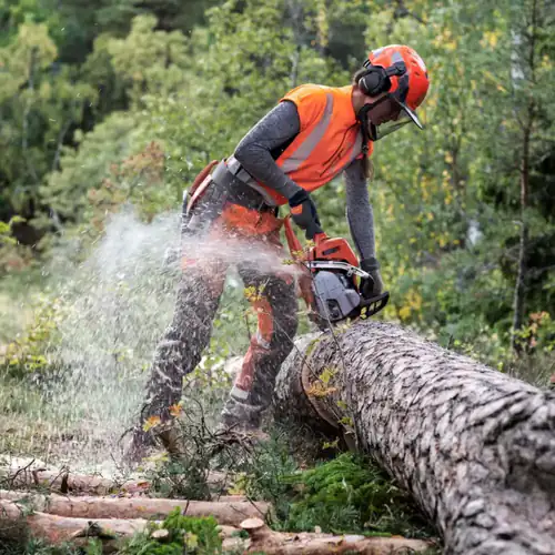 Corrente Husqvarna X-CUT C33 .325´ 050´/1.3 mm - ELO